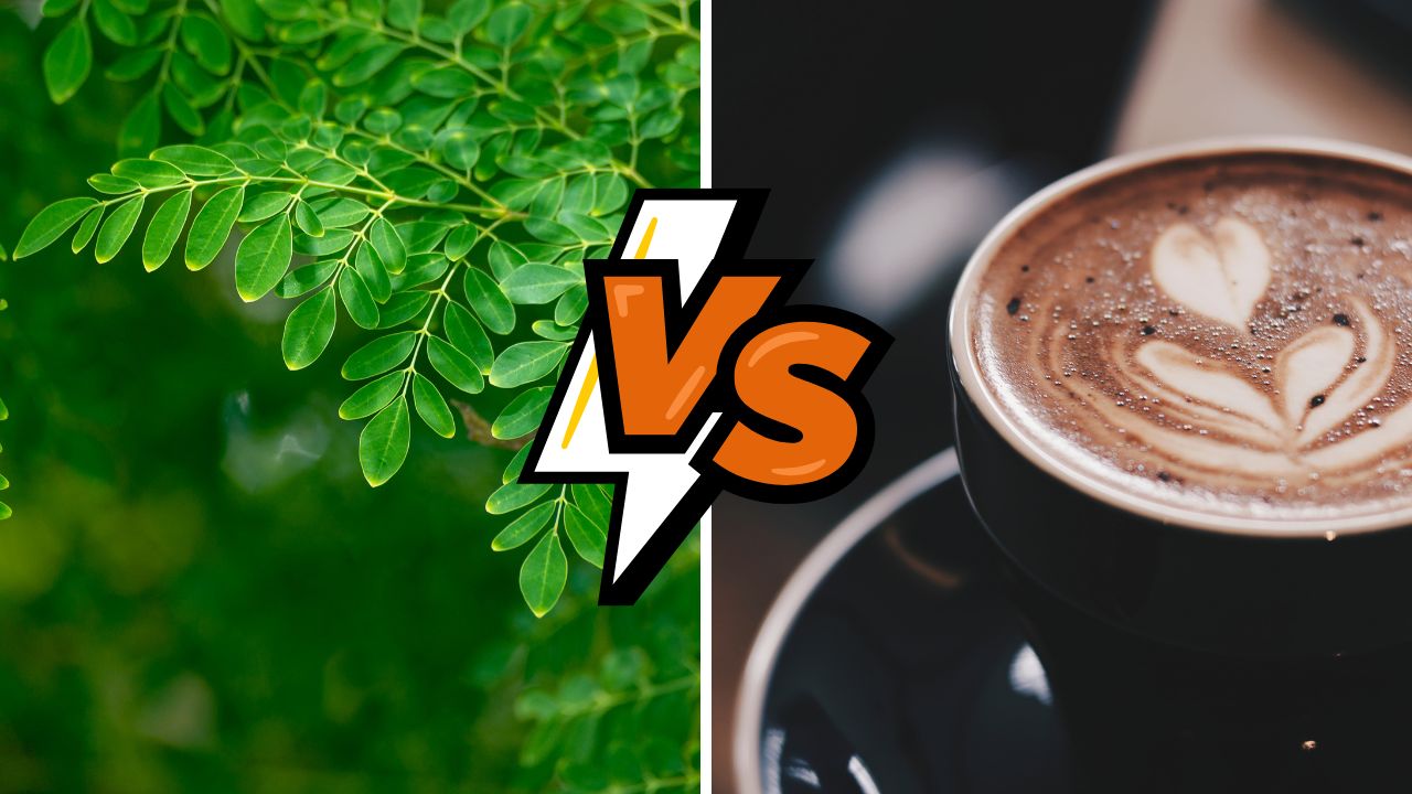 Does Moringa Have caffeine - Moringa for energy