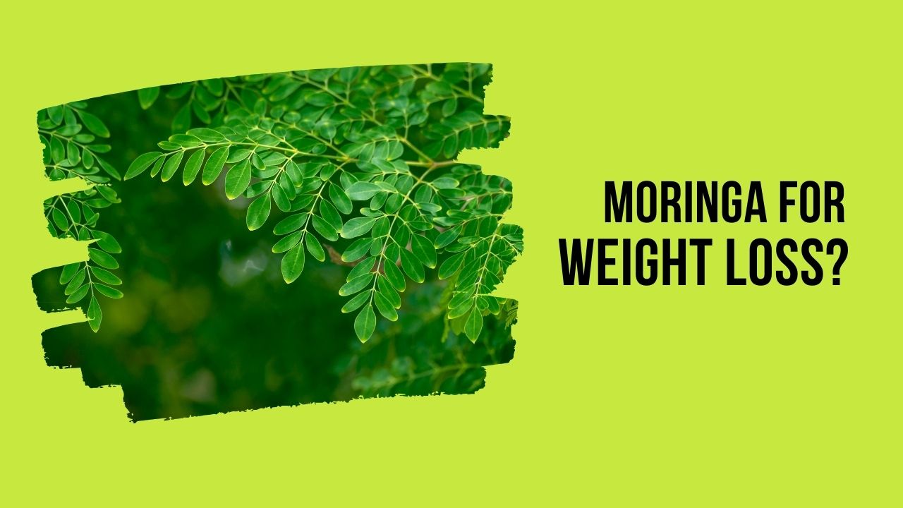 Does Moringa Help With Weight Loss