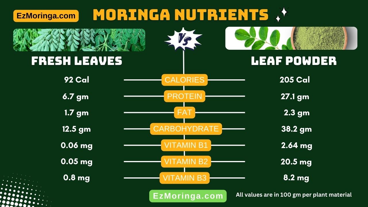 Moringa leaf powder benefits vs fresh leaf