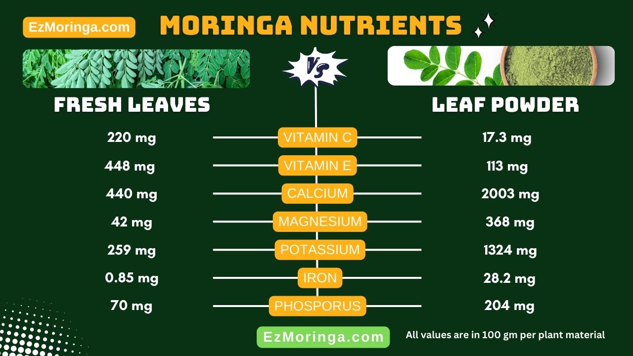 Moringa leaf powder benefits vs fresh leaf