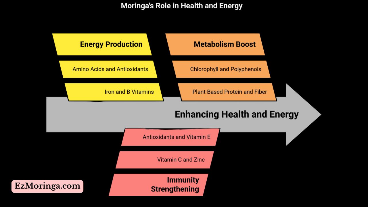 moringa magic - best multivitamin of the nature - antioxidants